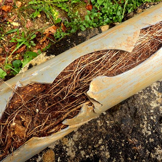 Same Day Drain Sewer & Rooter Pros Across Ossipee